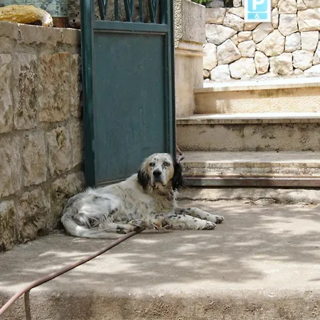 With A Parking Space Mocici, Dubrovnik - 9081 مْليني