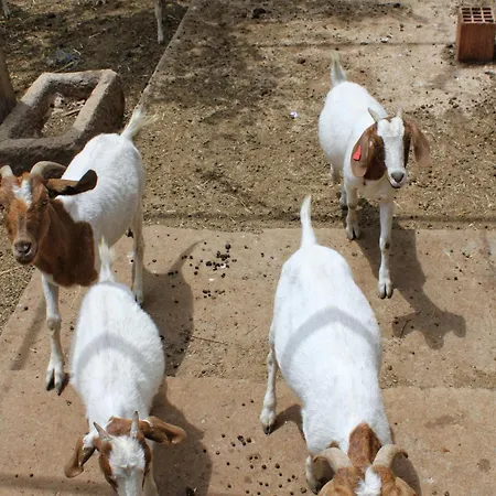 With A Parking Space Mocici, Dubrovnik - 9081 * مْليني