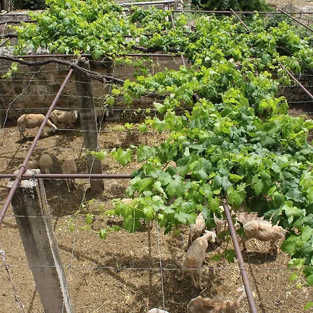 With A Parking Space Mocici, Dubrovnik - 9081
