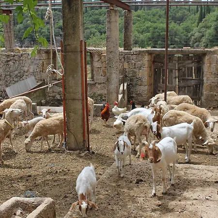 With A Parking Space Mocici, Dubrovnik - 9081 *